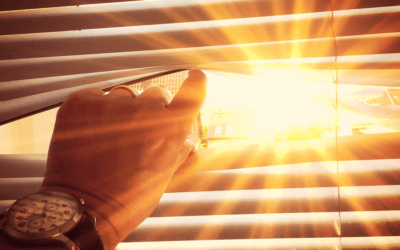 A glance at the future – working with scenario techniques