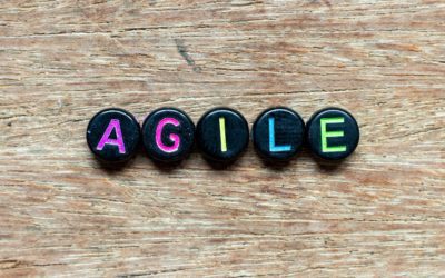 Is more agility always the right solution?