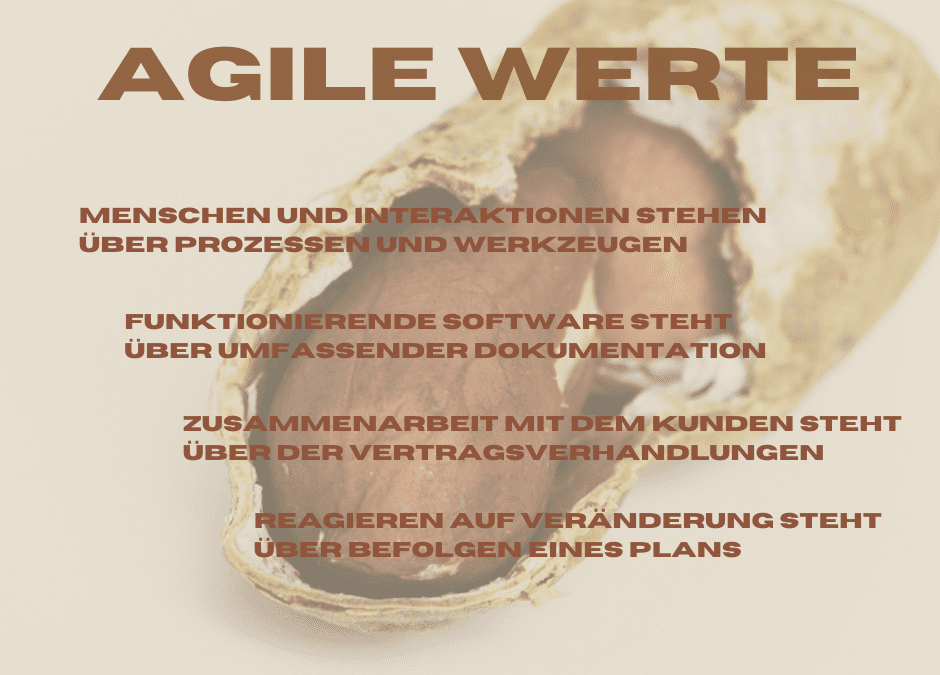 Agility in the Nutshell – Agile Werte