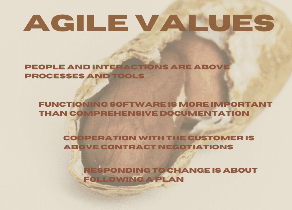 Agility in the Nutshell – Agile Values