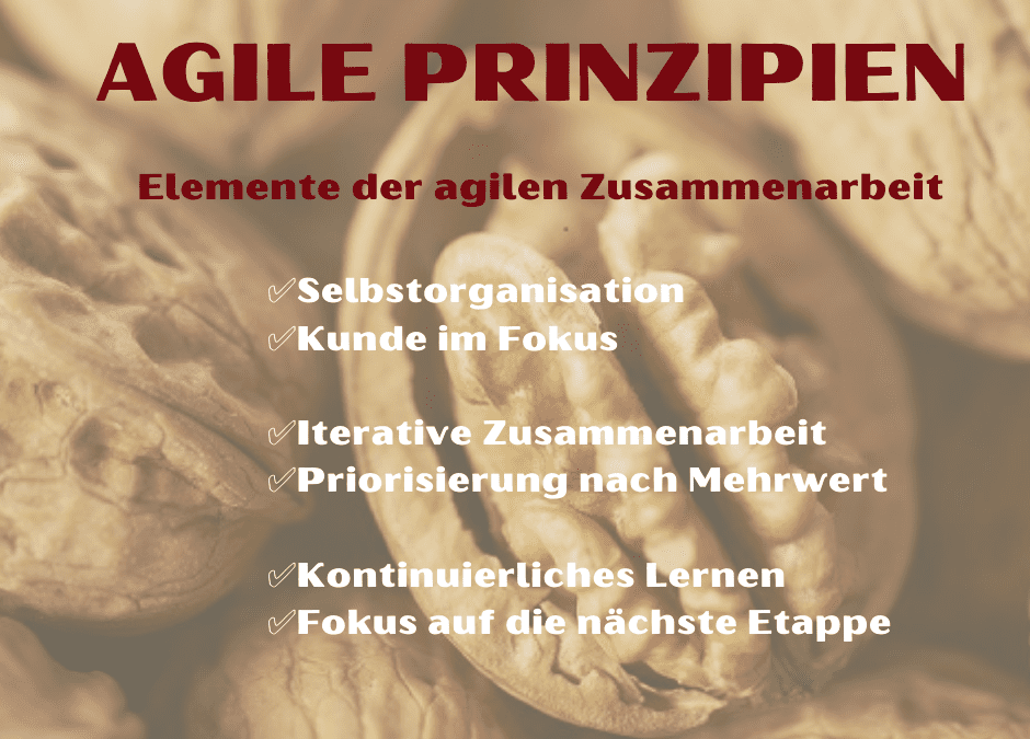 Agility in the Nutshell – Agile Prinzipien