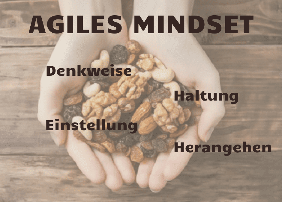 Agility in the Nutshell III – Agiles Mindset