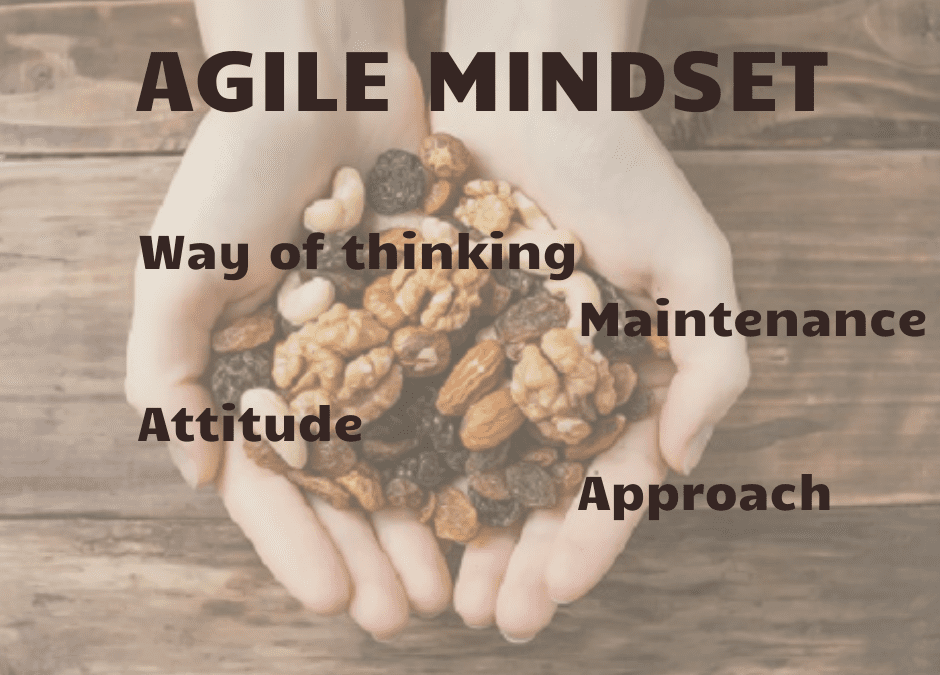 Agility in the Nutshell III – Agile Mindset