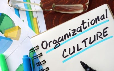 Organisational culture – what else?