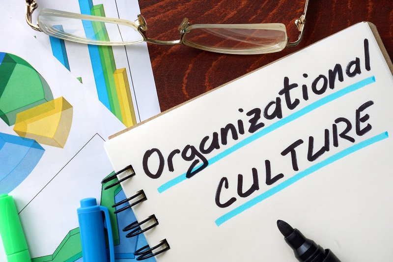 Organisational culture – what else?