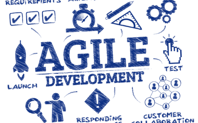 Agile Mindset – the new magic bullet?