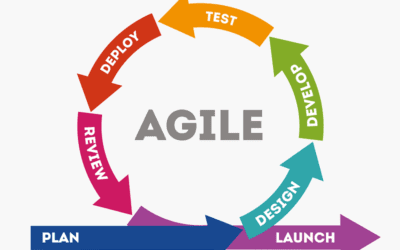 Book review – On the way to an agile organisation