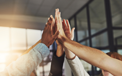 PRAXISFALL: TEAMENTWICKLUNG STATT TEAMBUILDING – EIN FALL AUS DER PRAXIS DES ÖFFENTLICHEN DIENSTES