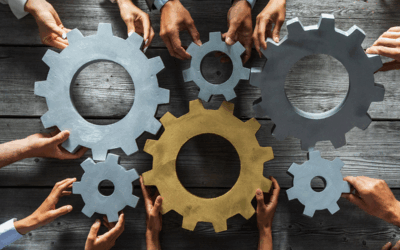 TOOLBOX: INTERKULTURELLE KOMPETENZ